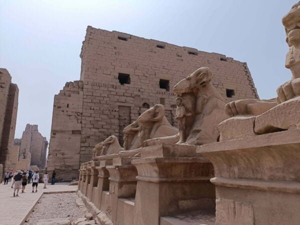 Luxor Day Trip 12