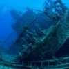 Diving In The Red Sea In Sharm El Sheikh