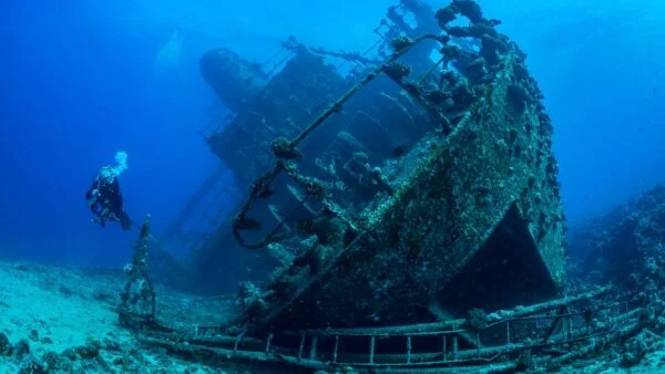 Diving In The Red Sea In Sharm El Sheikh