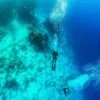Diving In The Red Sea In Sharm El Sheikh