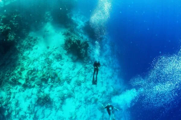 Diving In The Red Sea In Sharm El Sheikh