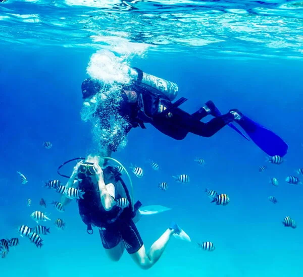 Diving In The Red Sea In Sharm El Sheikh