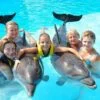 Dolphin Show & Swimming With Dolphin in Hurghada
