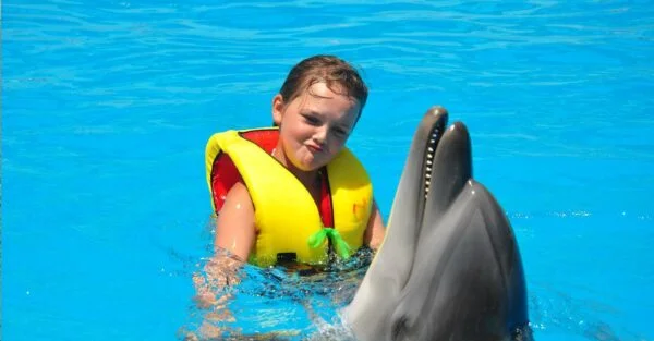 Dolphin Show & Swimming With Dolphin in Hurghada