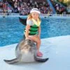 Dolphin Show Trip In Sharm El Sheikh