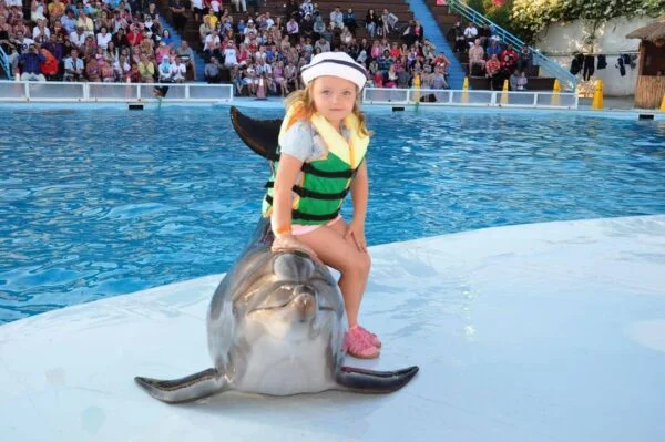 Dolphin Show Trip In Sharm El Sheikh