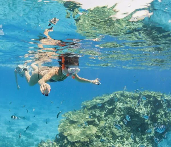 Ras Mohamed National Park and the White Island Boat Trip From Sharm El Sheikh
