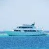Ras Mohamed National Park and the White Island Boat Trip From Sharm El Sheikh