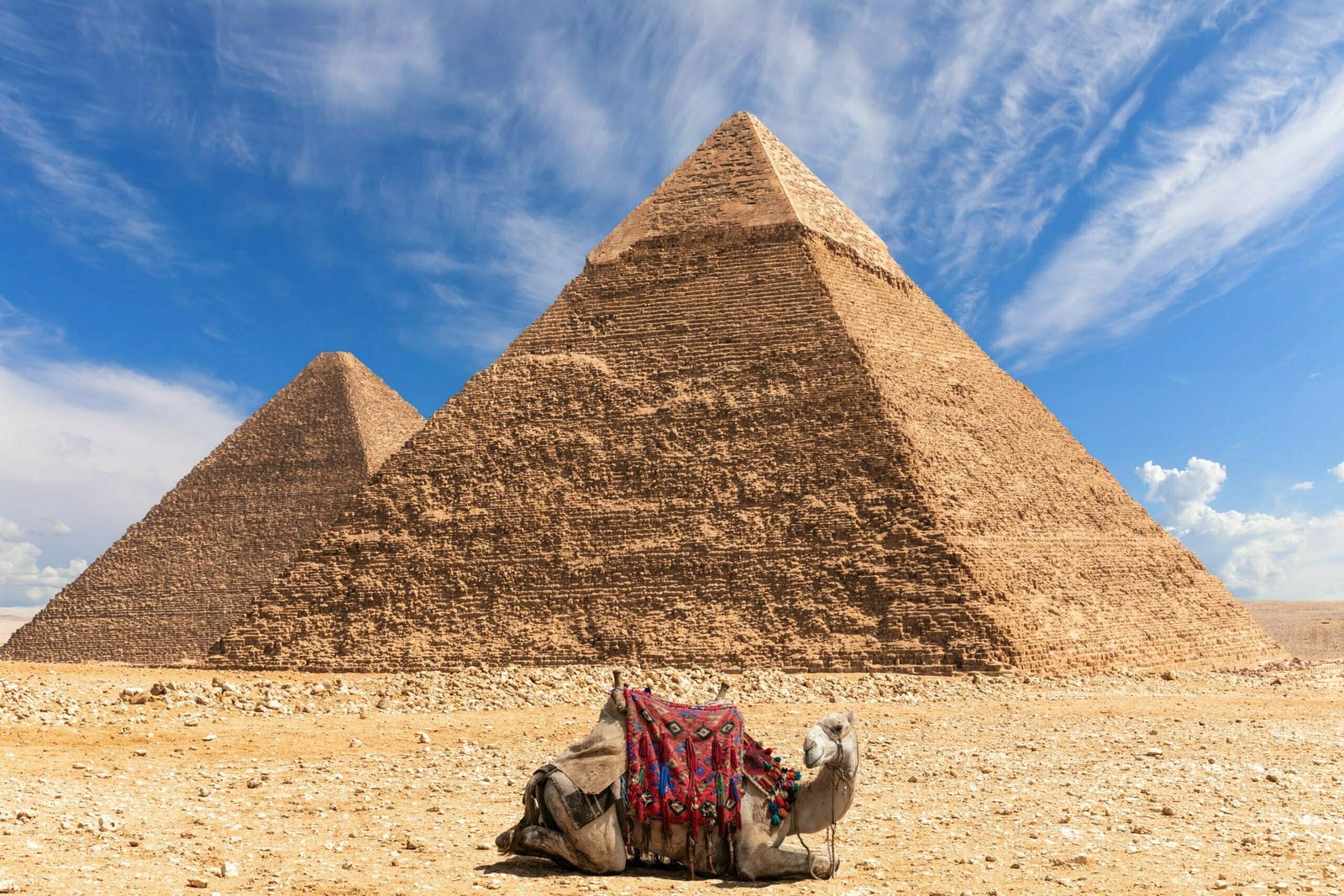 The Great Pyramids of Giza and the Egyptian museum trip in Cairo ...