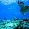 Tiran Island - Snorkeling Trip By Boat From Sharm El Sheikh