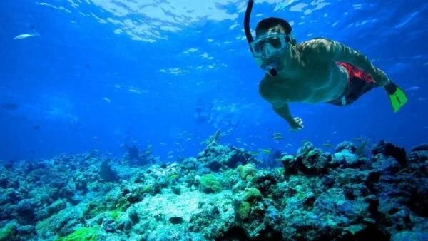 Tiran Island - Snorkeling Trip By Boat From Sharm El Sheikh