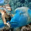 Tiran Island - Snorkeling Trip By Boat From Sharm El Sheikh