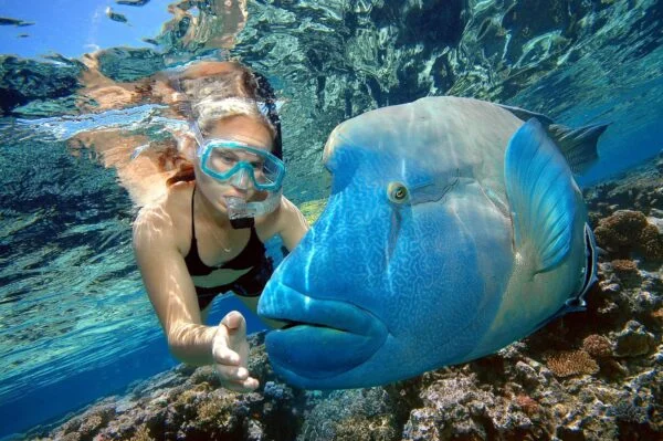 Tiran Island - Snorkeling Trip By Boat From Sharm El Sheikh