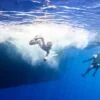 Tiran Island - Snorkeling Trip By Boat From Sharm El Sheikh