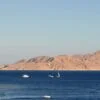 Tiran Island - Snorkeling Trip By Boat From Sharm El Sheikh