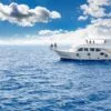 Tiran Island - Snorkeling Trip By Boat From Sharm El Sheikh