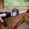 Share The Benefits Of Horseback Riding Promo Image