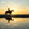 Horse Riding Tours in Sharm El Sheikh