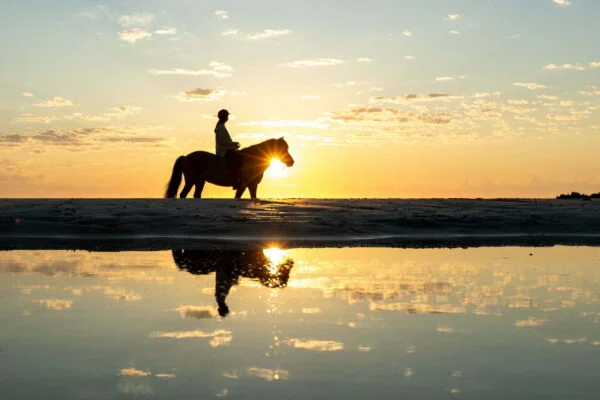 Horse Riding Tours in Sharm El Sheikh